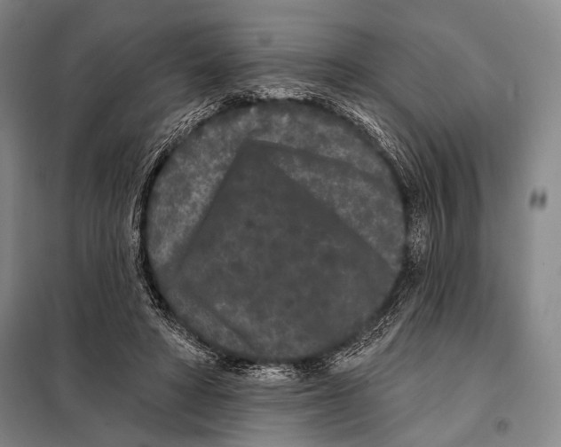X0000097970402200804211017