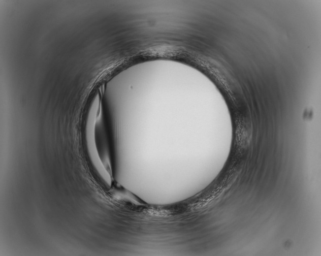 X0000097970403200804211017
