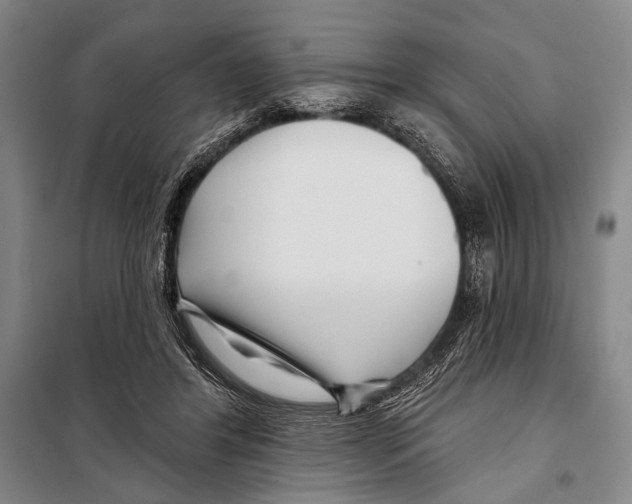 X0000097970404200804211017