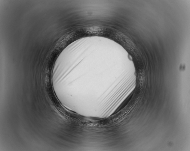 X0000097970408200804211017