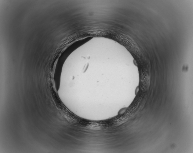X0000097970416200804211017