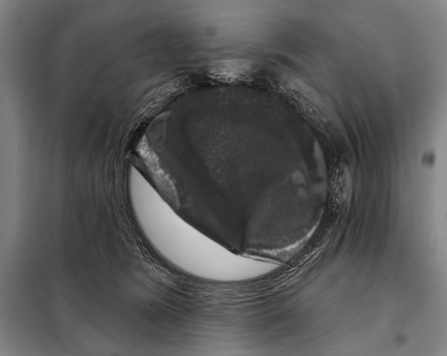 X0000097970420200804211017