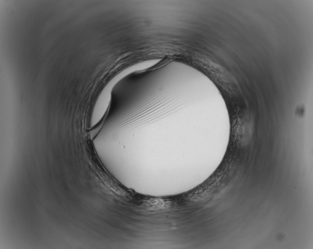 X0000097970421200804211016