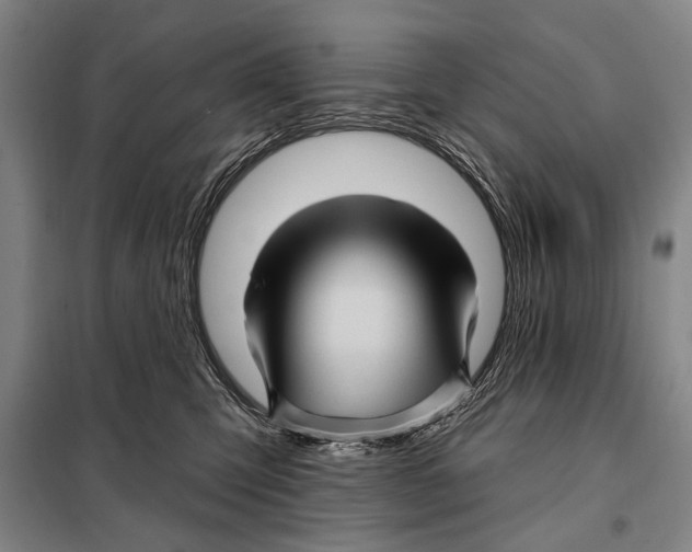 X0000097970423200804211016