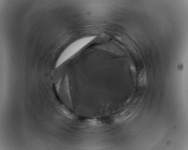 X0000097970424200804211016