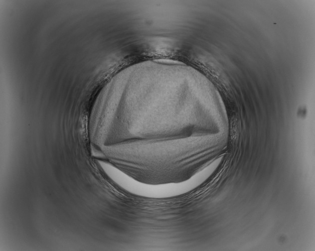 X0000097970425200804211016