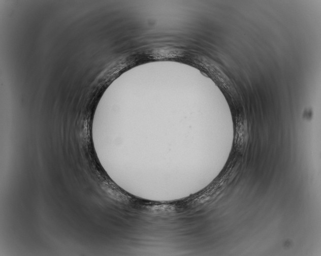 X0000097970426200804211016