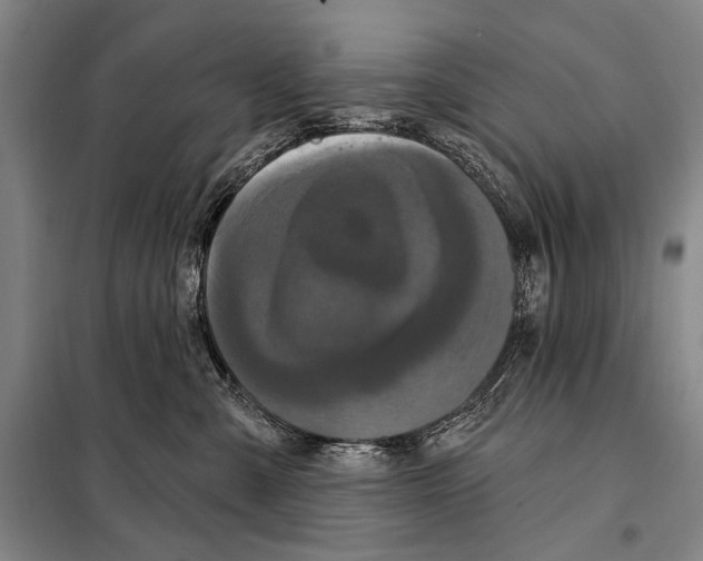 X0000097970427200804211016