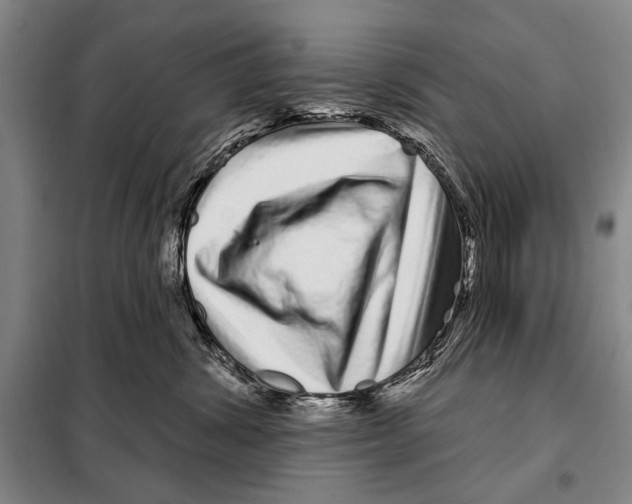X0000097970428200804211016