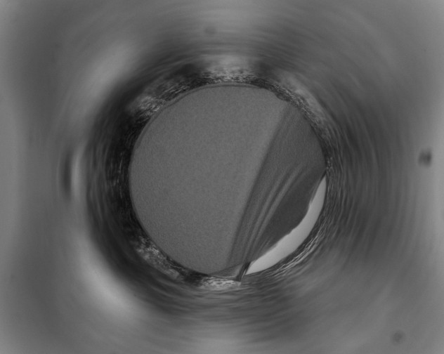 X0000097970429200804211016