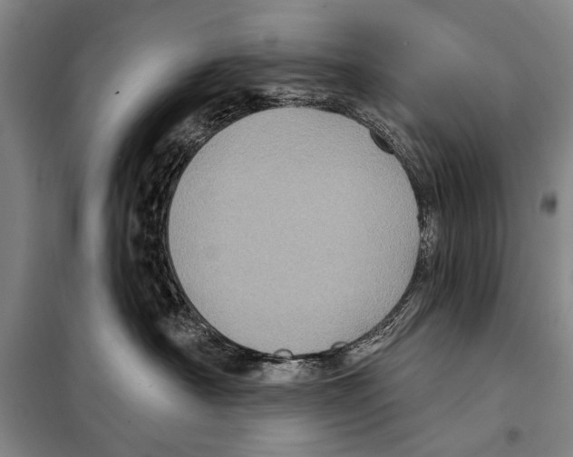 X0000097970430200804211016