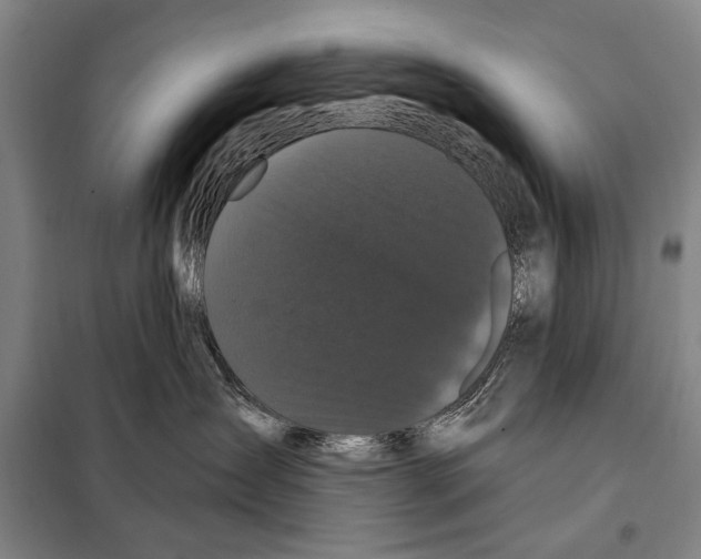 X0000097970431200804211016