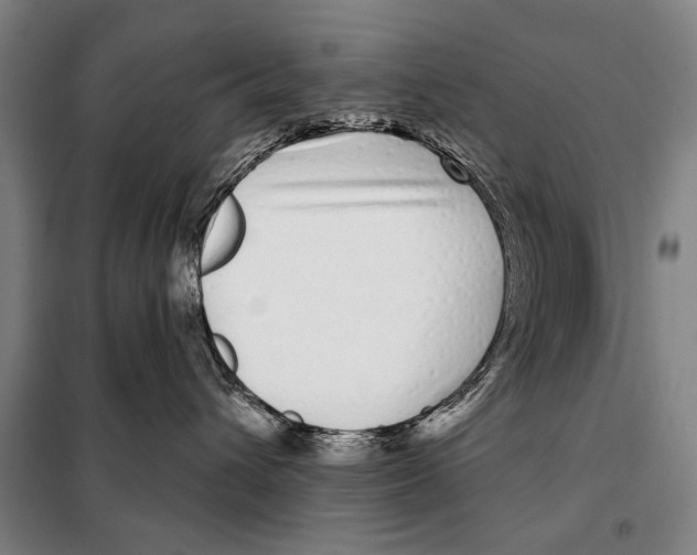 X0000097970432200804211016