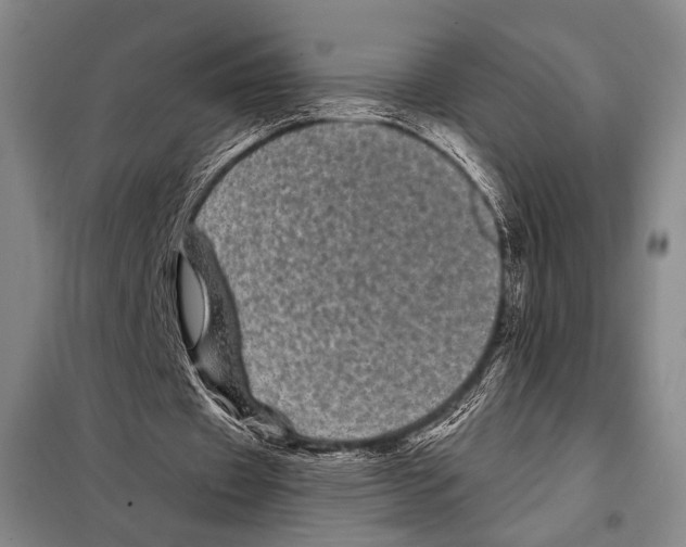 X0000097970433200804211015