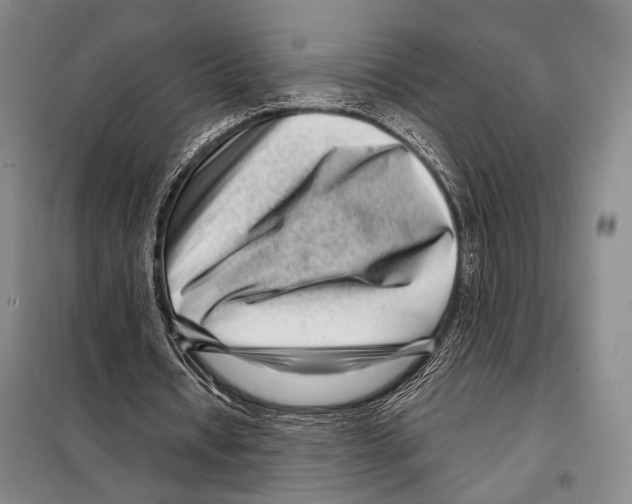 X0000097970434200804211015