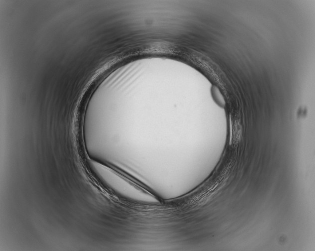 X0000097970435200804211015
