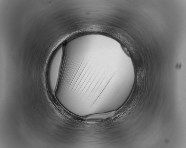 X0000097970436200804211015