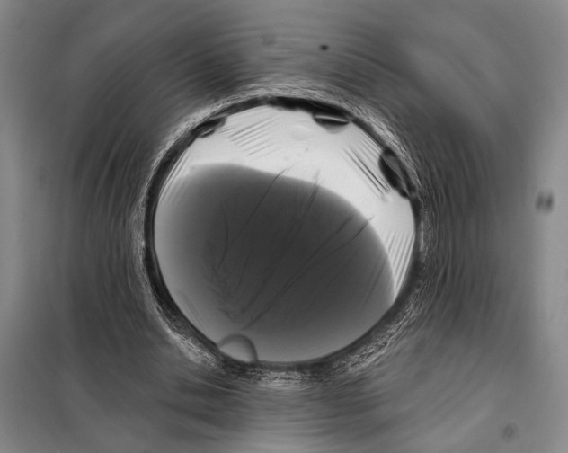X0000097970438200804211015
