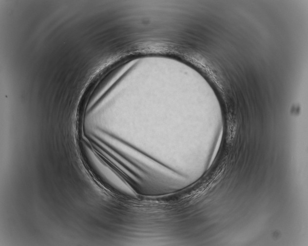 X0000097970439200804211015