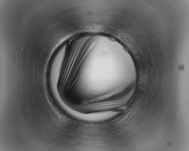 X0000097970440200804211015