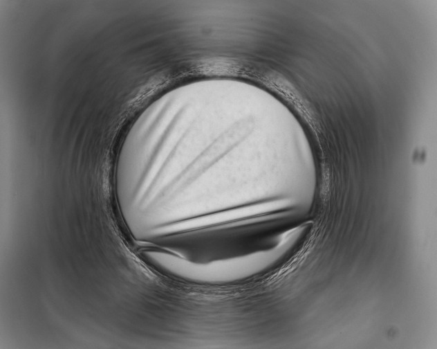 X0000097970441200804211015