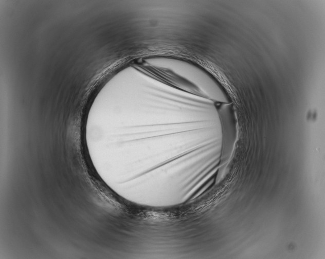 X0000097970442200804211015