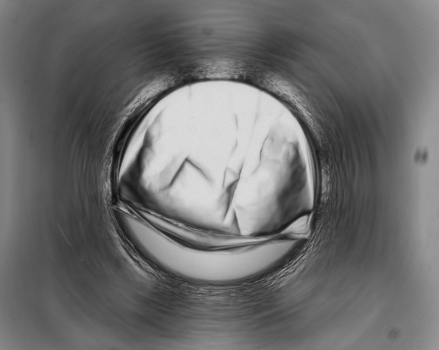 X0000097970443200804211015
