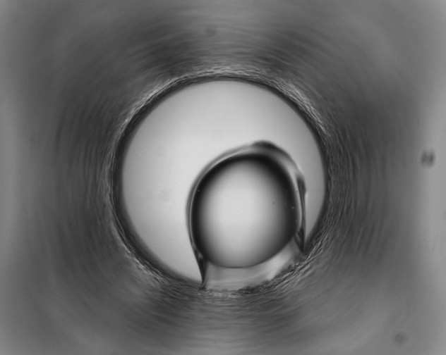 X0000097970444200804211015