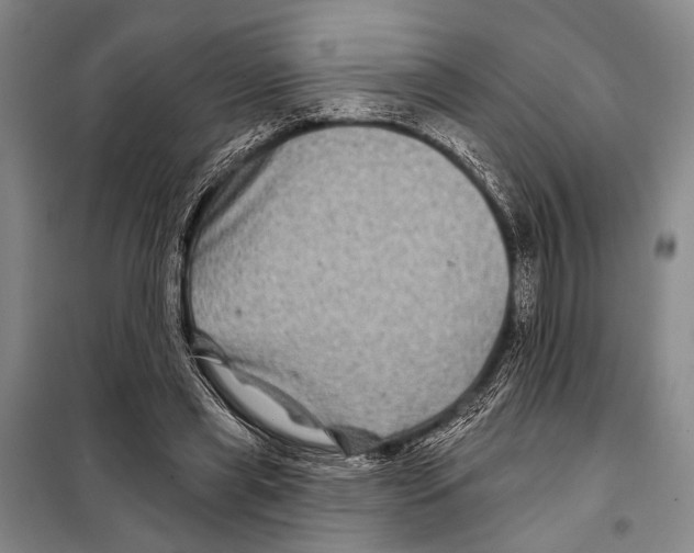 X0000097970445200804211016