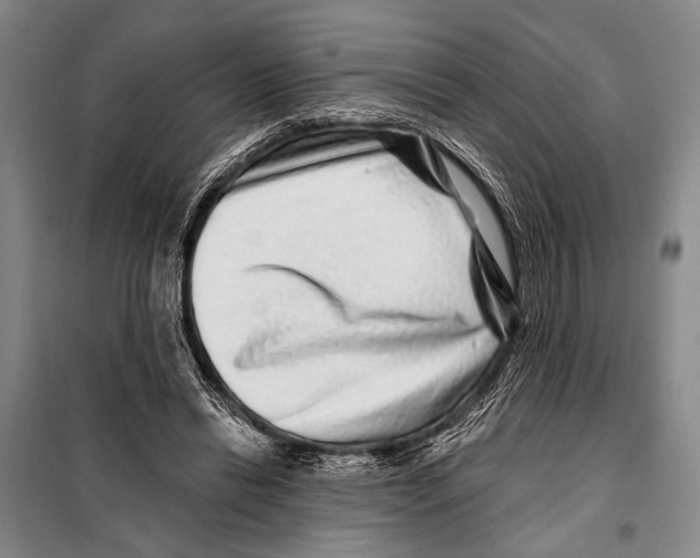 X0000097970446200804211016