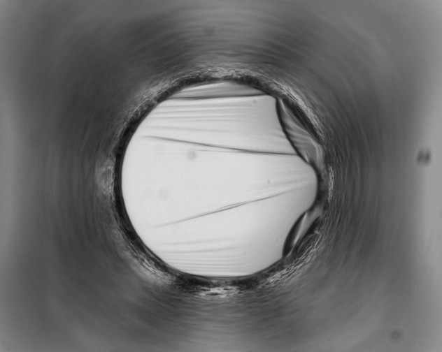 X0000097970447200804211016