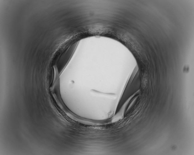 X0000097970448200804211016