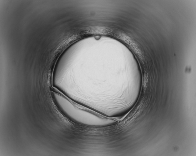 X0000097970449200804211016