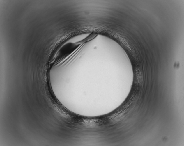 X0000097970450200804211016
