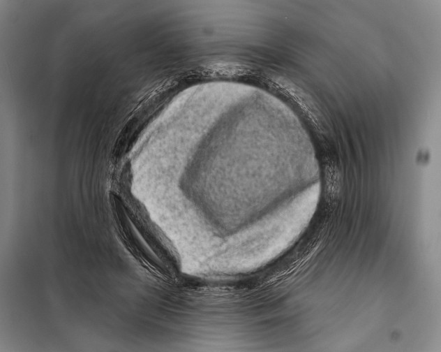 X0000097970451200804211016