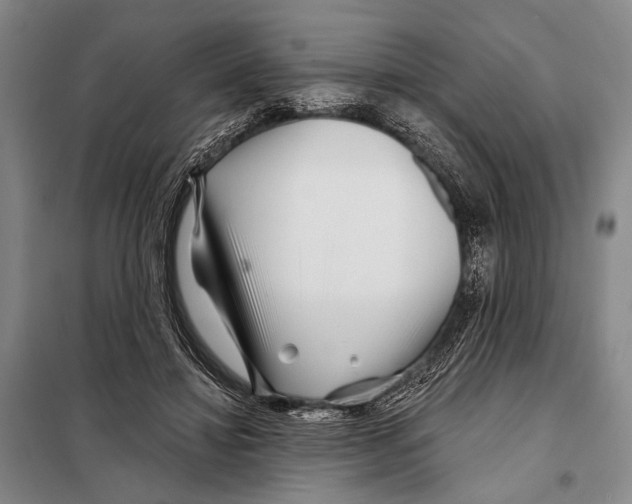 X0000097970452200804211016