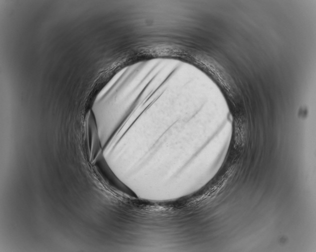 X0000097970453200804211016