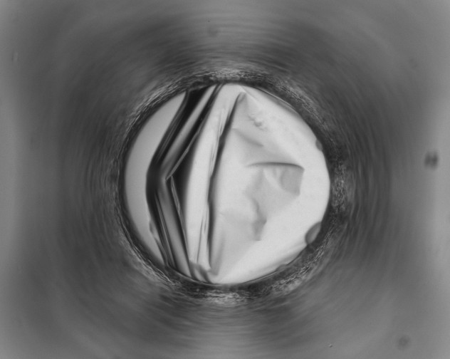 X0000097970454200804211016