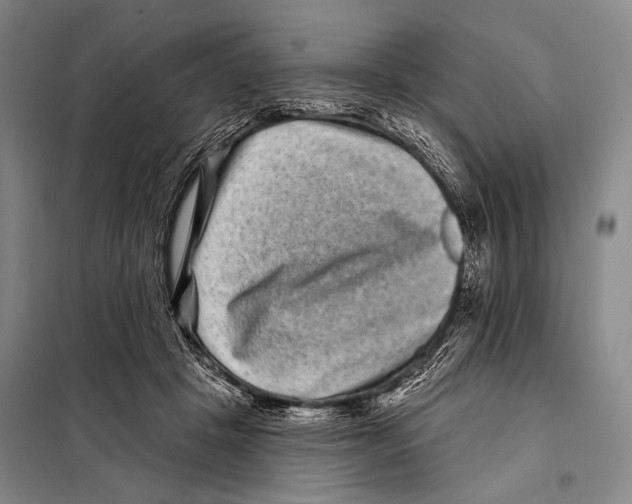 X0000097970457200804211016