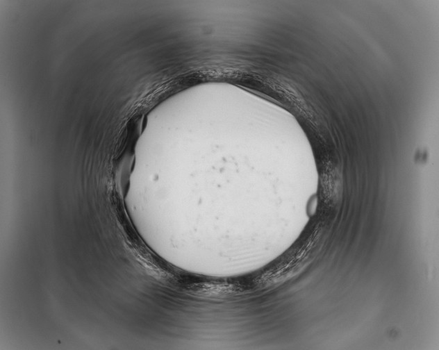 X0000097970458200804211016