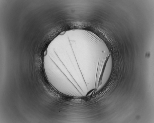 X0000097970459200804211016