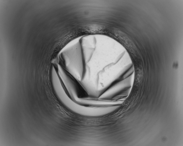 X0000097970461200804211016
