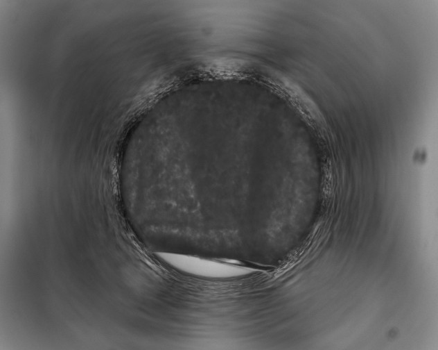 X0000097970465200804211016