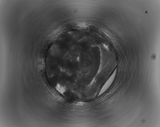 X0000097970467200804211016