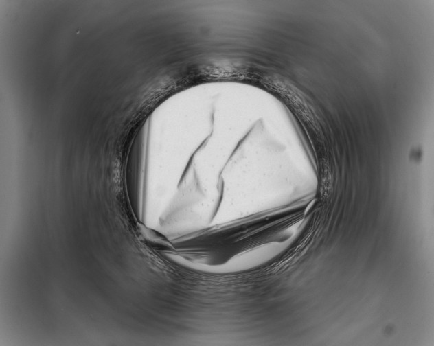 X0000097970469200804211016