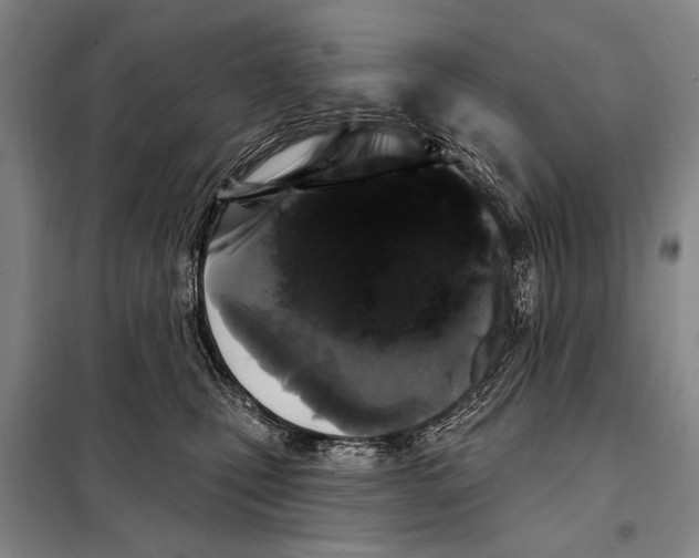 X0000097970471200804211016