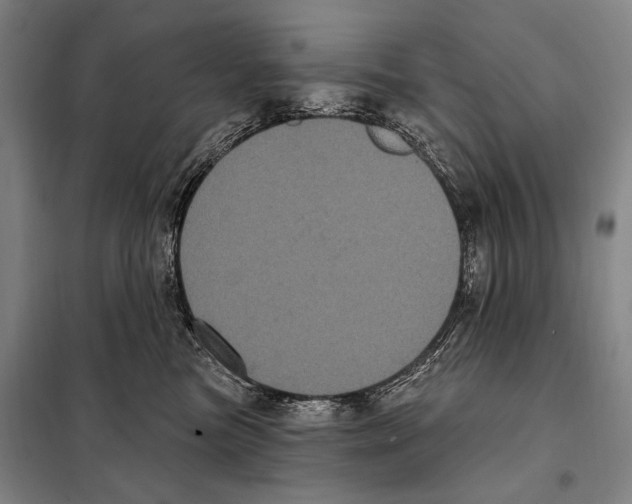 X0000097970473200804211016