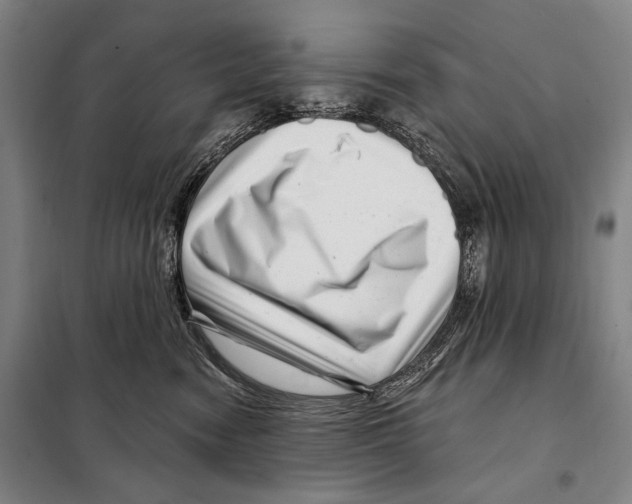 X0000097970474200804211016