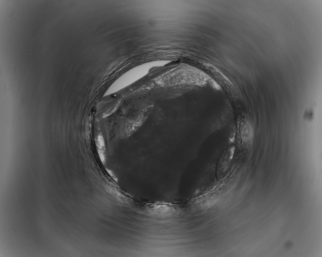 X0000097970475200804211016