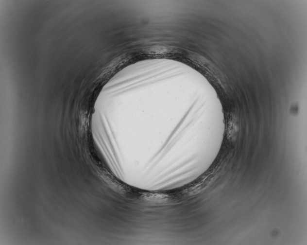 X0000097970476200804211016